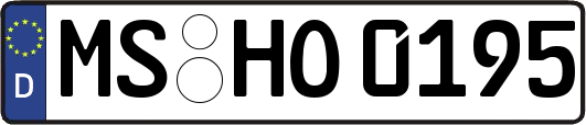 MS-HO0195