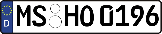 MS-HO0196