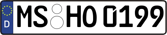 MS-HO0199
