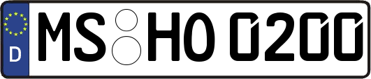 MS-HO0200