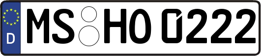 MS-HO0222