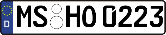 MS-HO0223