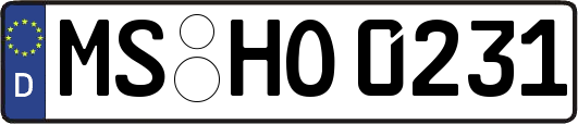 MS-HO0231