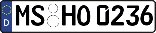 MS-HO0236