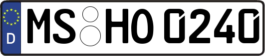 MS-HO0240