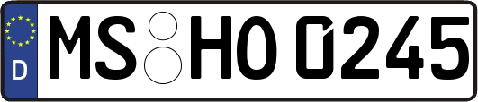 MS-HO0245