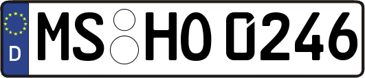 MS-HO0246