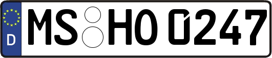 MS-HO0247