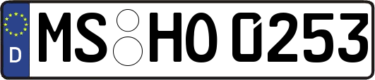 MS-HO0253