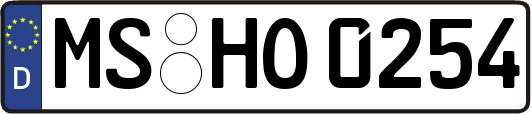 MS-HO0254