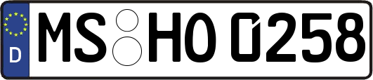 MS-HO0258