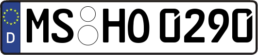 MS-HO0290