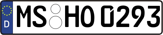 MS-HO0293