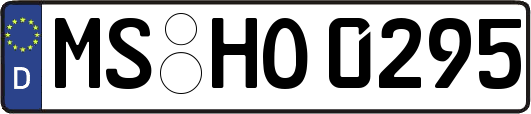 MS-HO0295