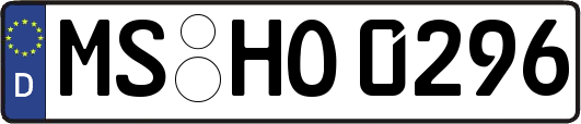 MS-HO0296