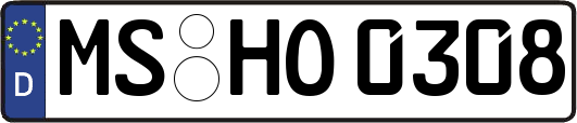 MS-HO0308