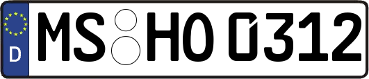 MS-HO0312