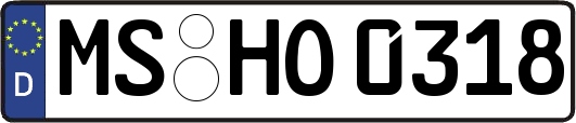 MS-HO0318