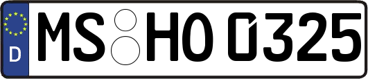 MS-HO0325