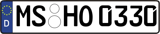 MS-HO0330