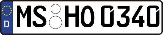 MS-HO0340