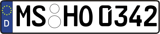 MS-HO0342