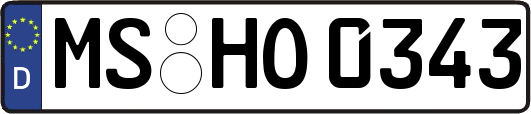 MS-HO0343