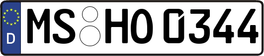 MS-HO0344