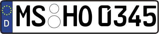 MS-HO0345