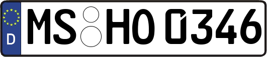 MS-HO0346
