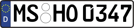 MS-HO0347