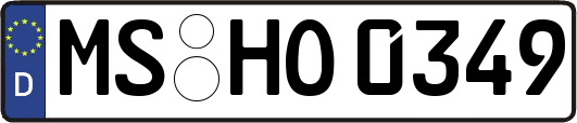 MS-HO0349