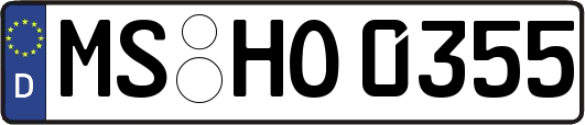 MS-HO0355