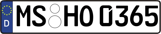 MS-HO0365