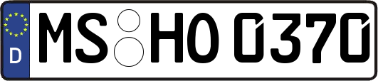 MS-HO0370