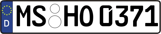 MS-HO0371