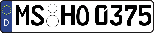 MS-HO0375