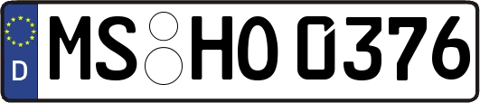 MS-HO0376