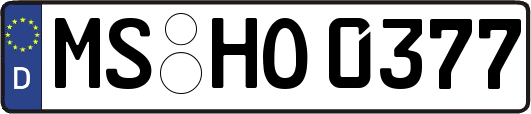 MS-HO0377