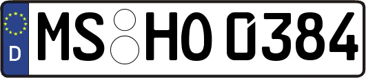 MS-HO0384