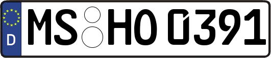 MS-HO0391