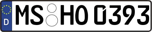 MS-HO0393