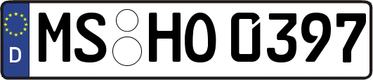 MS-HO0397