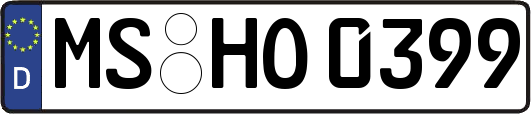 MS-HO0399