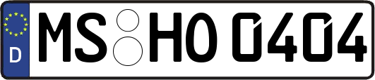 MS-HO0404