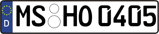 MS-HO0405