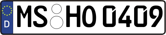 MS-HO0409
