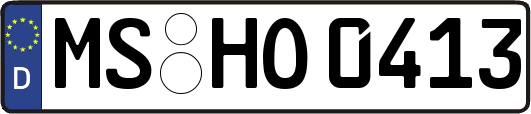 MS-HO0413