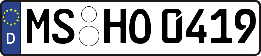MS-HO0419