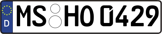MS-HO0429